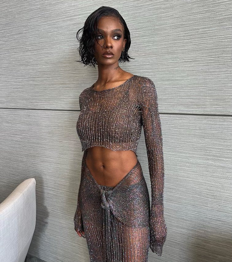 Dean Metal Long Sleeve Crop Top