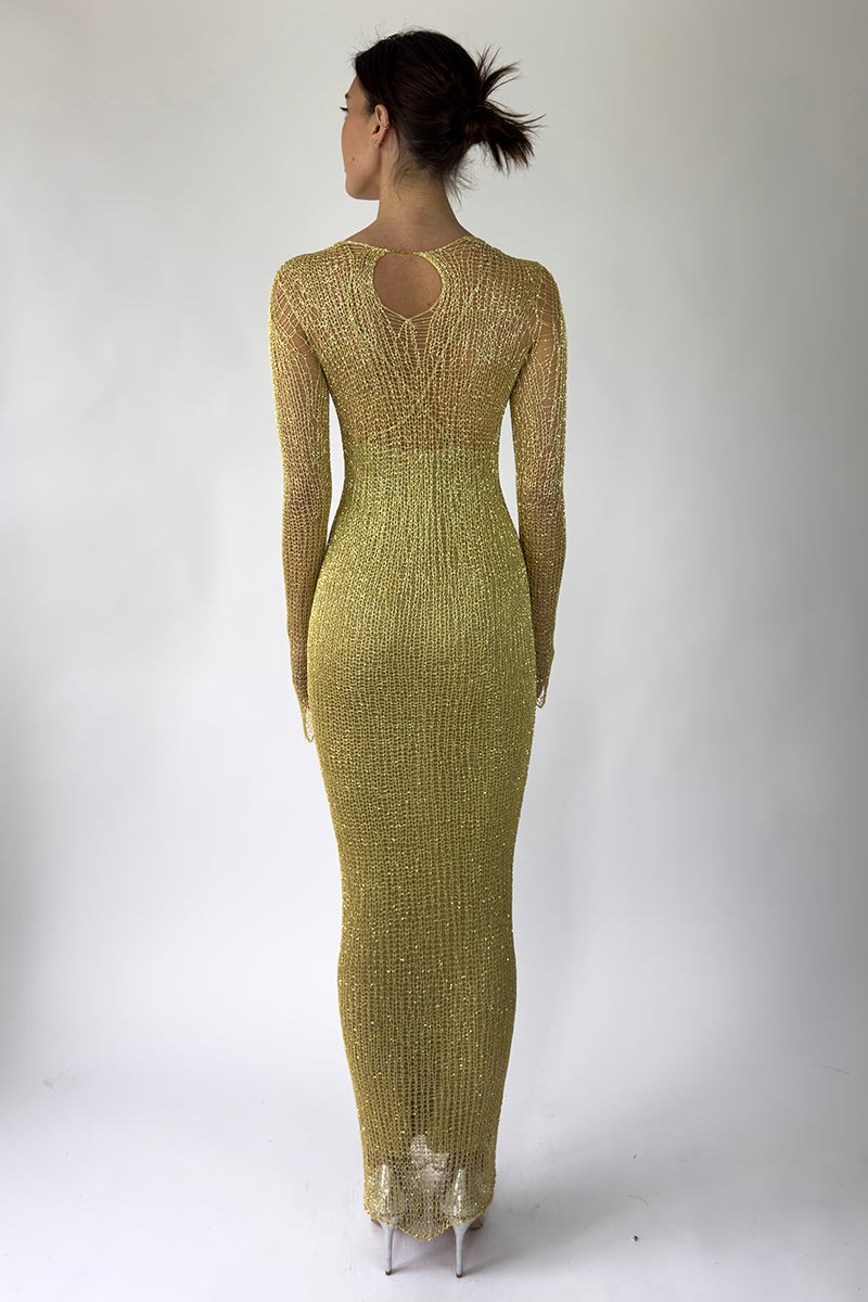 Long Sleeved Gown
