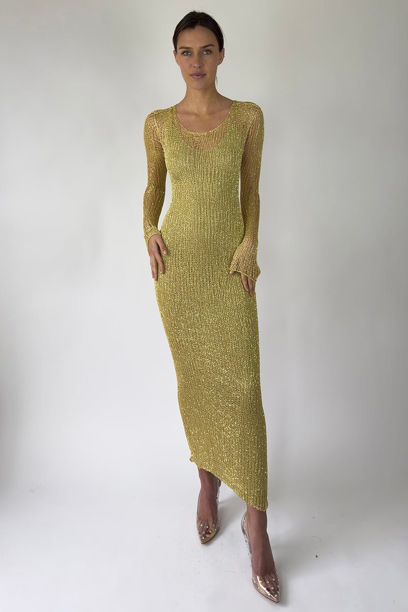 Long Sleeved Gown